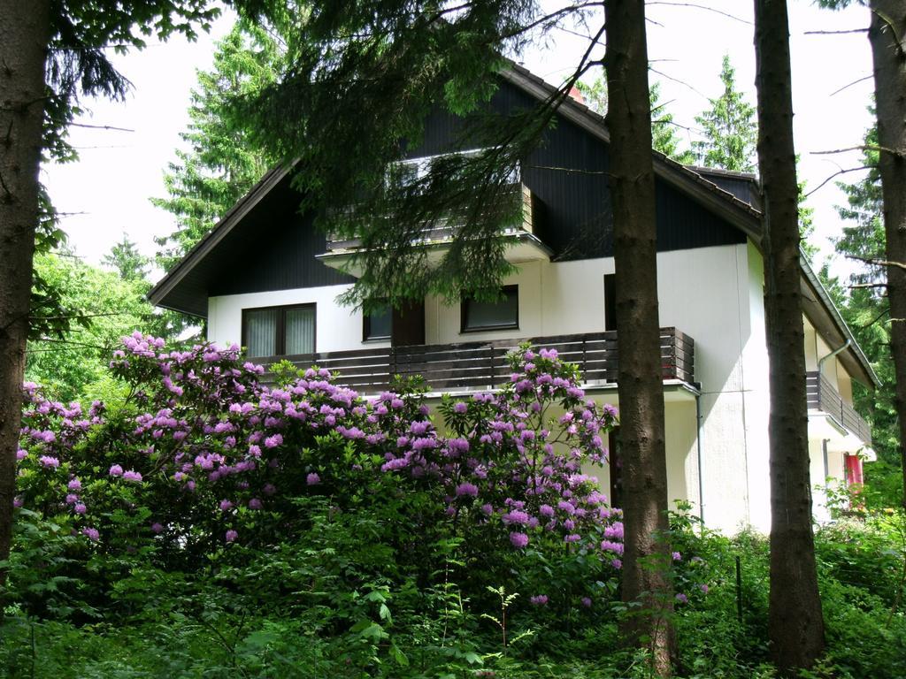 Haus Hirschmann Hotel Goslar Buitenkant foto